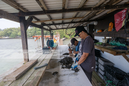 CROISIERE TAHITI - ILES DE LA SOCIETE