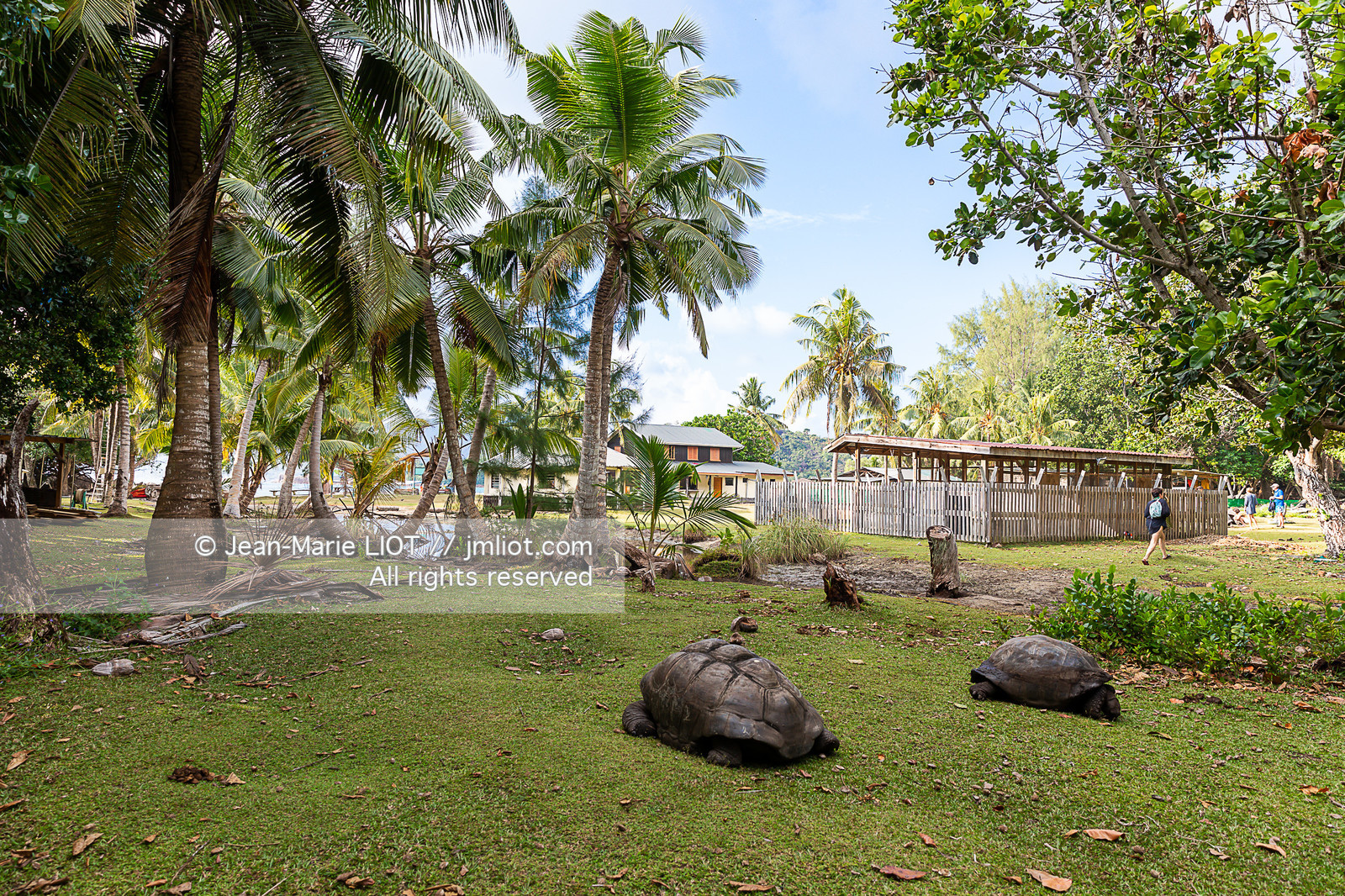 CROISIERE AUX ILES SEYCHELLES