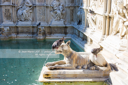 Italie, Toscane,Italy, Tuscany, Sienne, fontaine de la Joie, Fonte gaia,