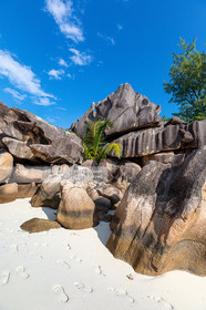 CROISIERE AUX ILES SEYCHELLES