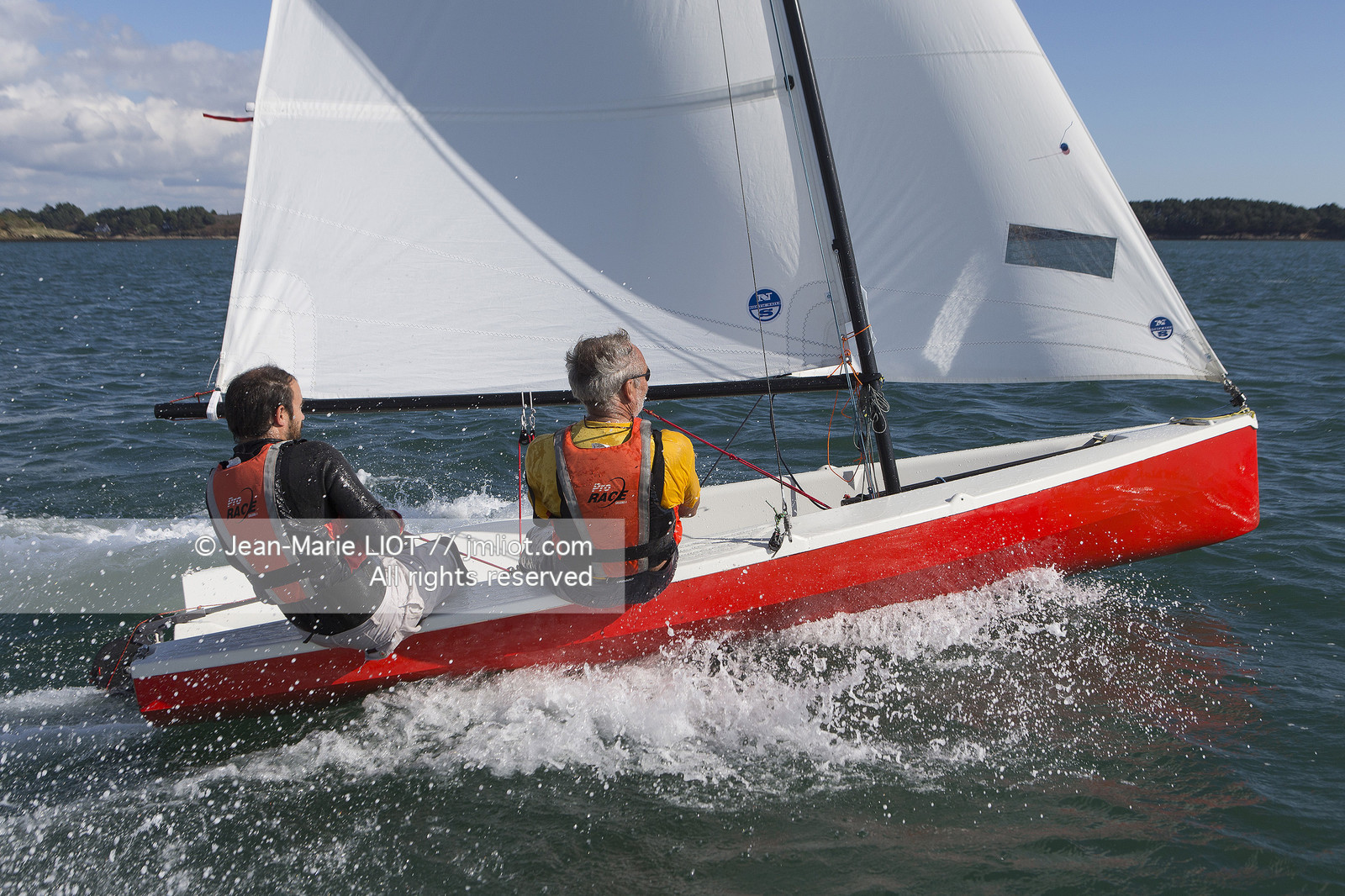 L'ALBATROS - JEAN-MARIE FINOT