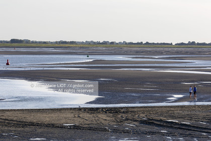 BAIE DE SOMME - 2020