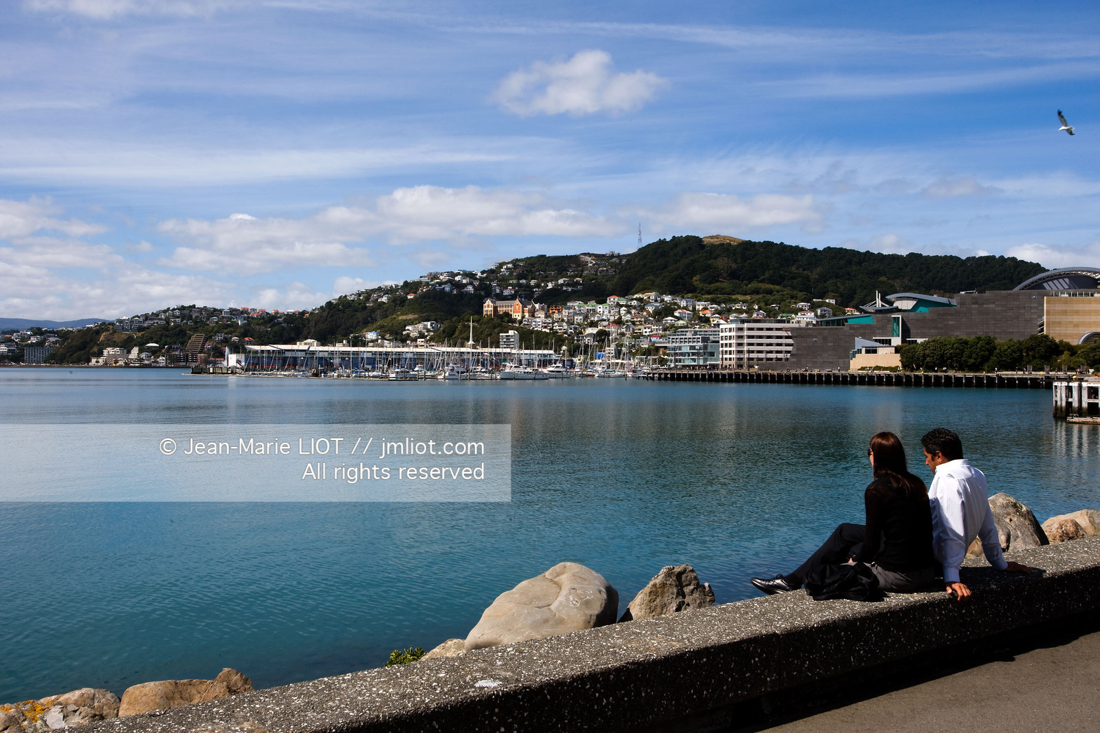 WELLINGTON 2008