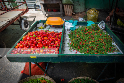 SALVADOR DE BAHIA-FOIRE DE SAO JOAQUIM