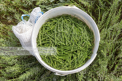 BAIE DE SOMME - 2020