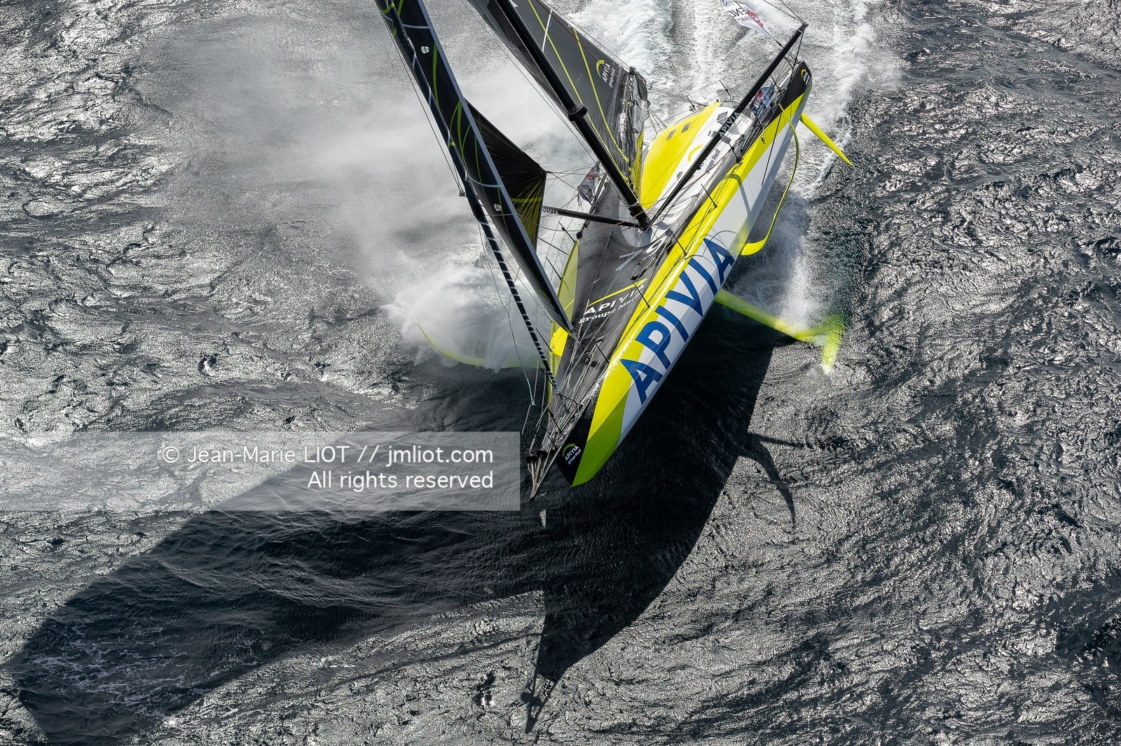 CHARLIE DALIN 2020 - APIVIA