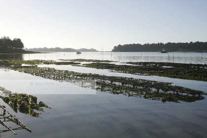 Ostreiculture dans les parcs à huitres du Golfe de Neptune. .photo © JEAN-MARIE LIOT.