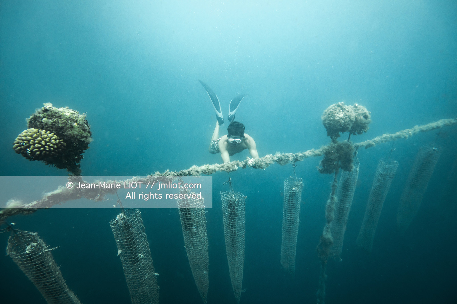CROISIERE TAHITI - ILES DE LA SOCIETE