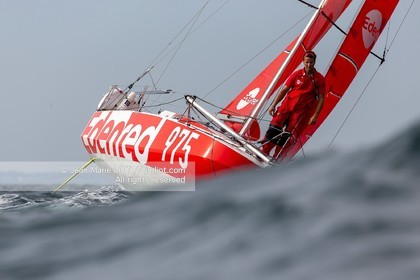 BASILE BOURGNON 2020 - MINI 650 EDENRED