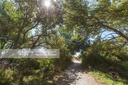 Bretange, Ile d'Hoëdic