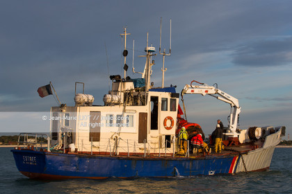 VOILES ET VOILIERS - EYOTY 2016