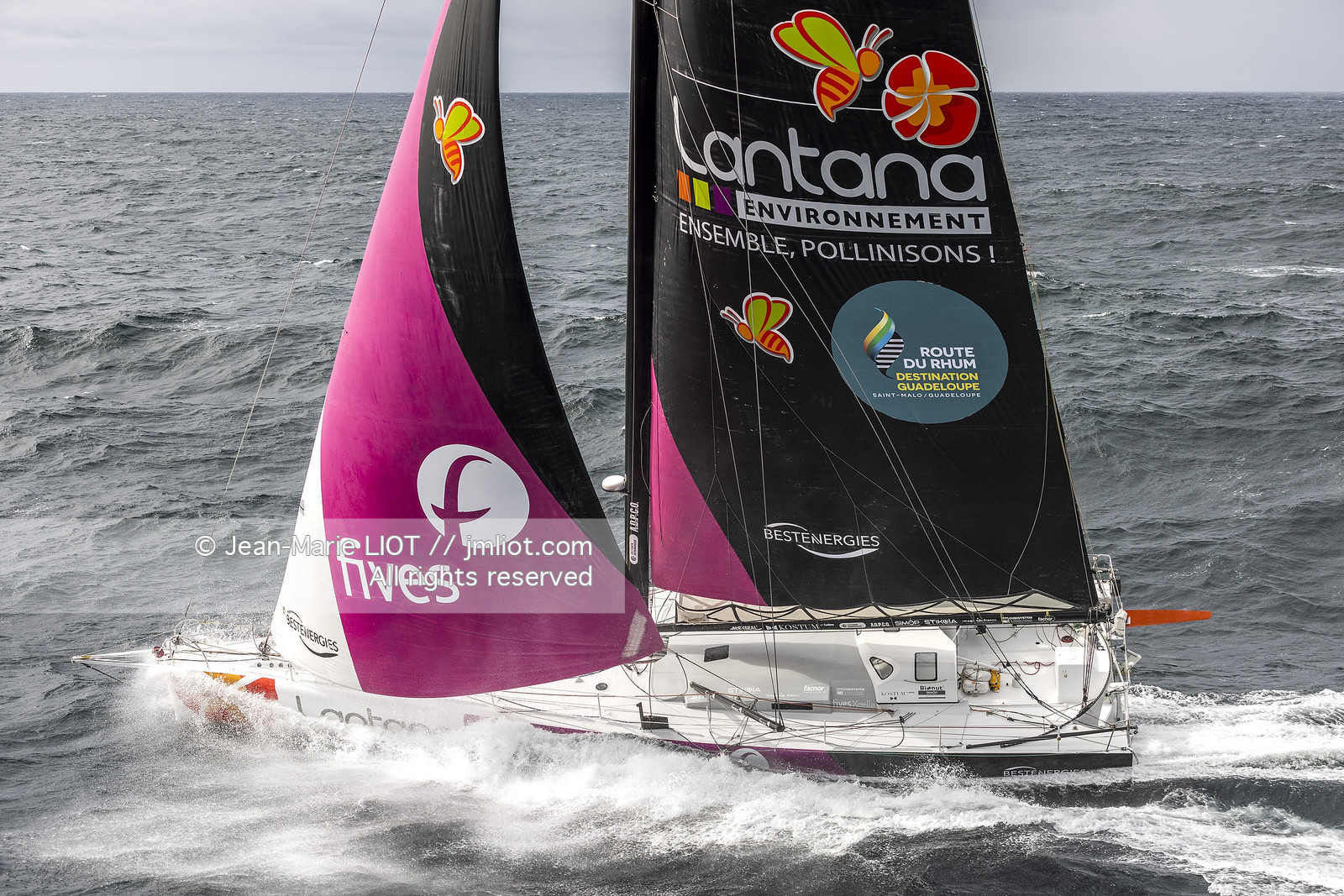 LOUIS DUC 2022 - ROUTE DU RHUM