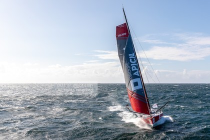 DAMIEN SEGUIN 2020 - IMOCA GROUPE APICIL