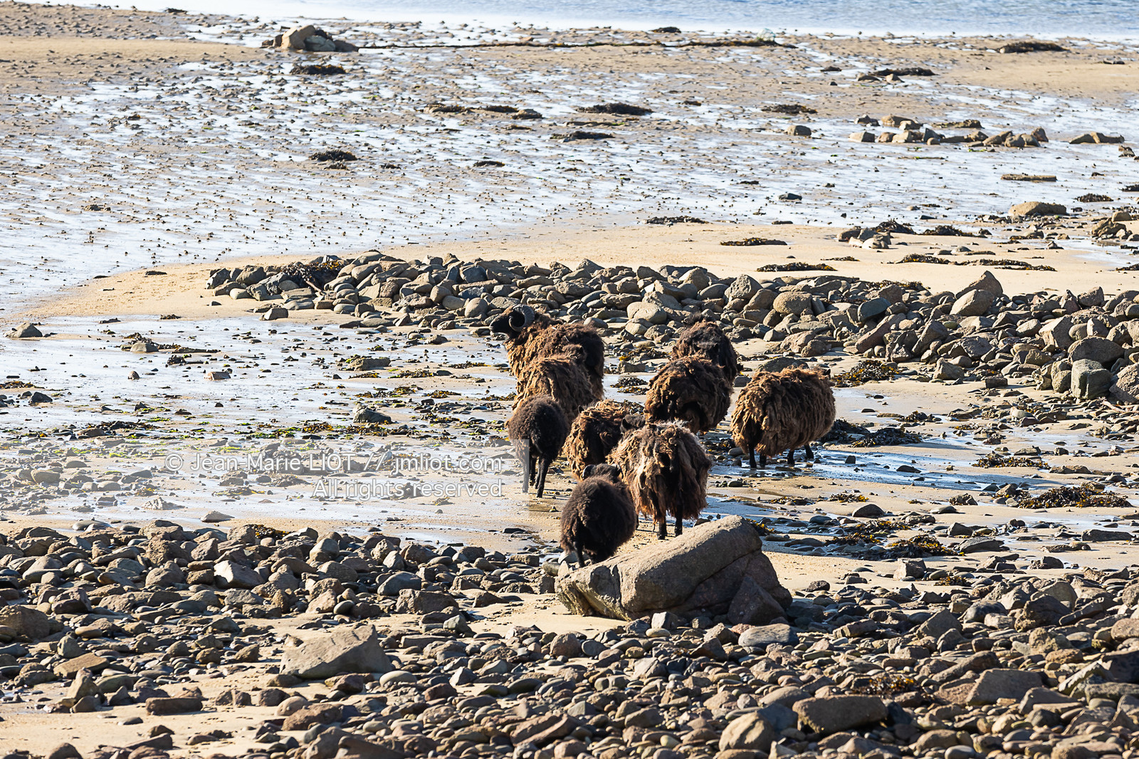 BOREAL 47.2 - ECHOUAGE ILE D’ER