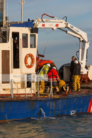 VOILES ET VOILIERS - EYOTY 2016