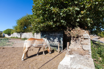 Bretange, Ile d'Hoëdic