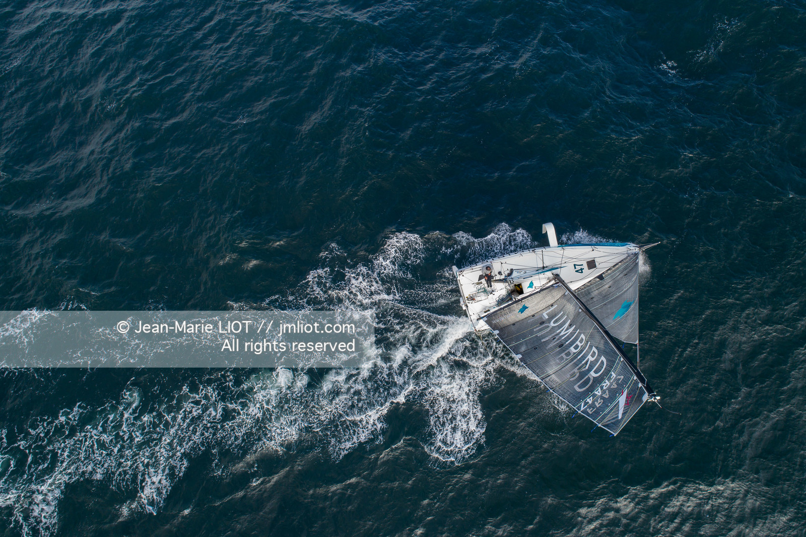 MICHEL DESJOYEAUX - FIGARO 3 LUMIBIRD 2019