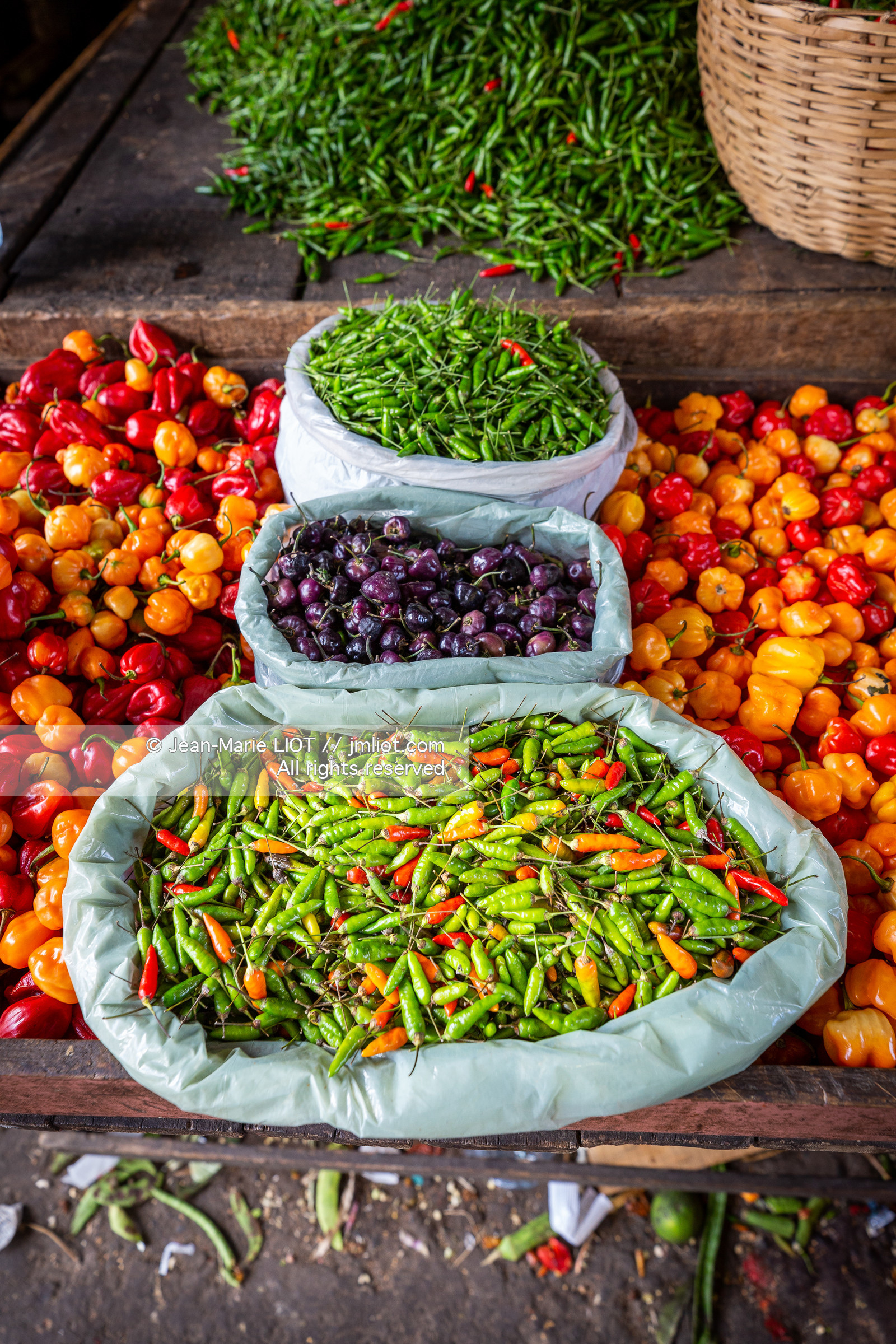 SALVADOR DE BAHIA-FOIRE DE SAO JOAQUIM