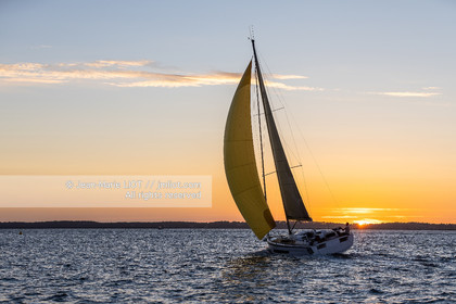 DUFOUR YACHTS 2022 - DUFOUR 37