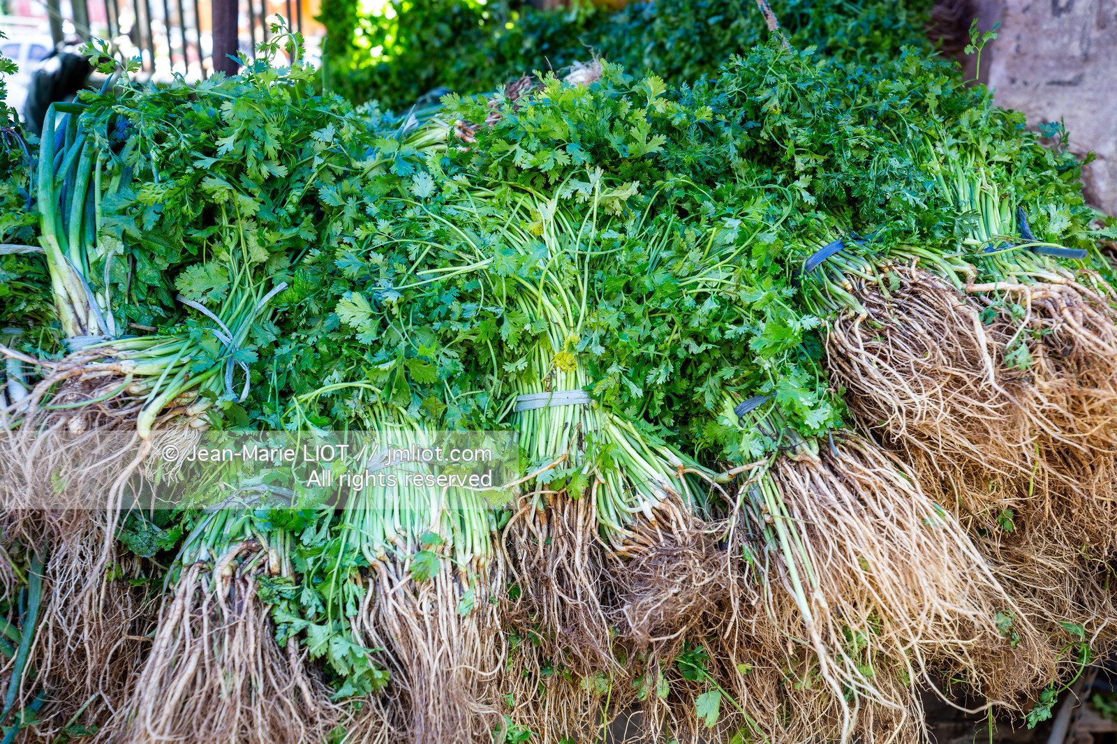 SALVADOR DE BAHIA-FOIRE DE SAO JOAQUIM