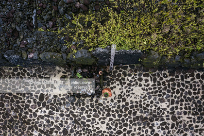 CROISIERE TAHITI - ILES DE LA SOCIETE