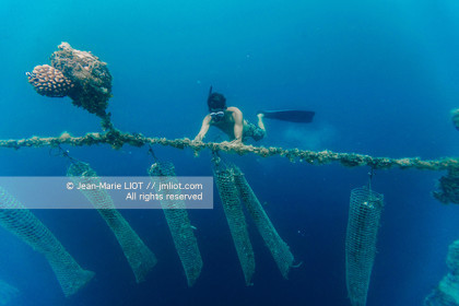 CROISIERE TAHITI - ILES DE LA SOCIETE