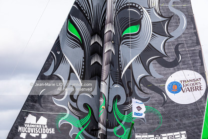 IMOCA V AND B MAYENNE 2019