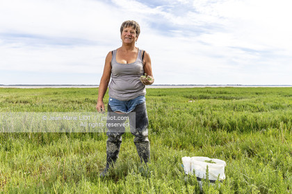 BAIE DE SOMME - 2020