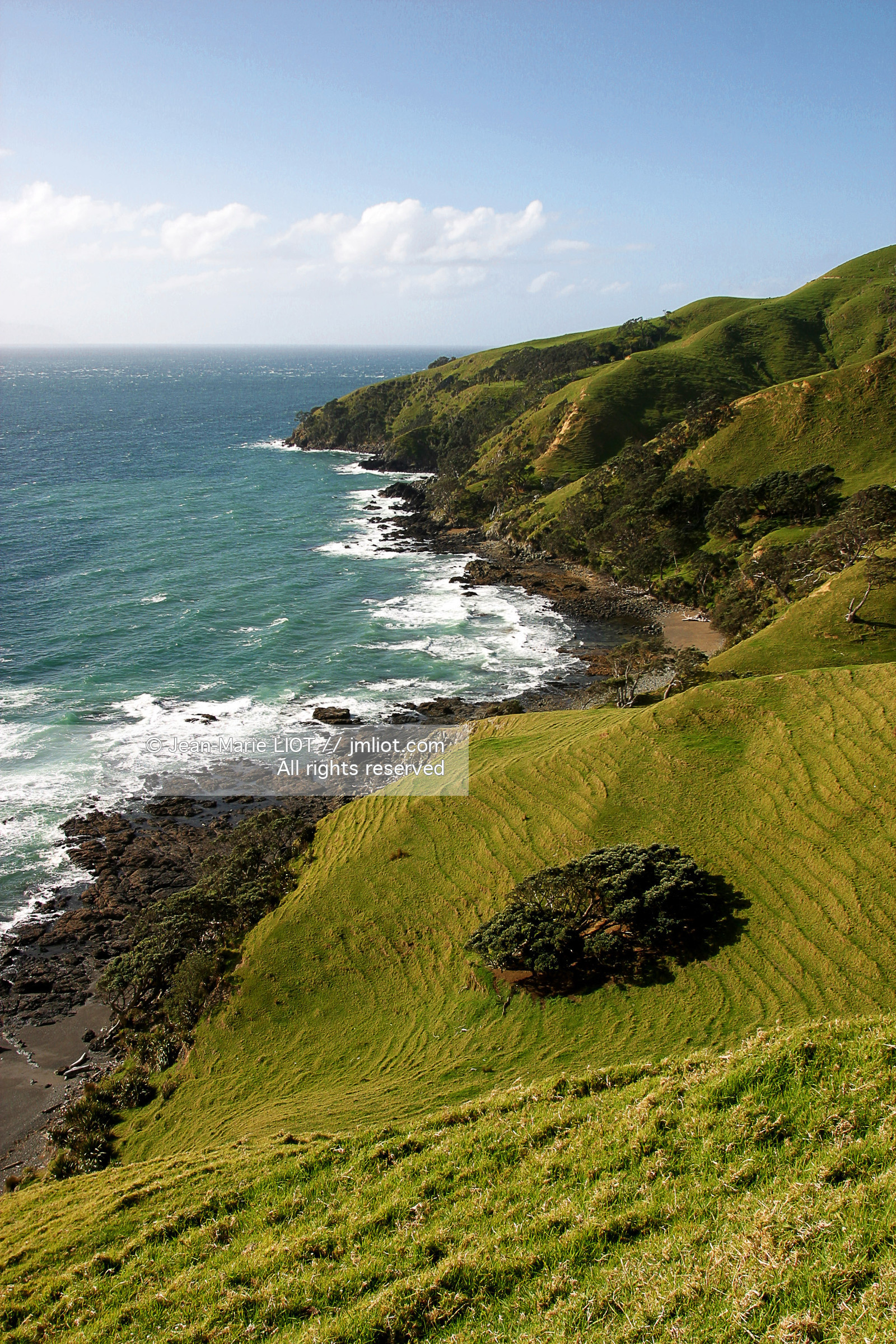 NOUVELLE ZELANDE - COROMANDEL