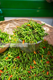 SALVADOR DE BAHIA-FOIRE DE SAO JOAQUIM