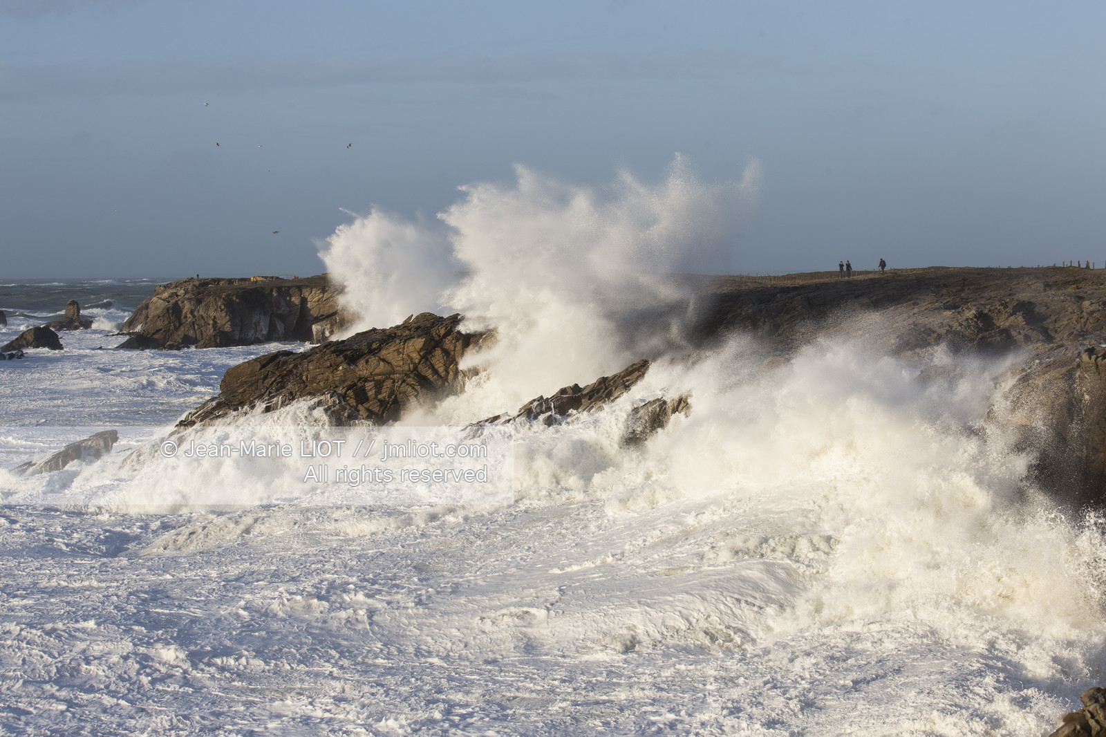 TEMPETE JANVIER 2014