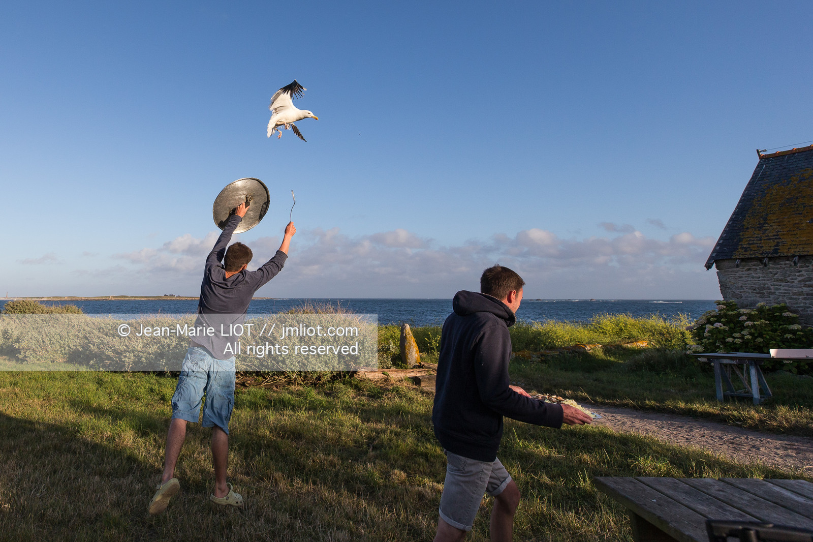 VOILES ET VOILIERS - ECOLE DE VOILE DES GLENANS