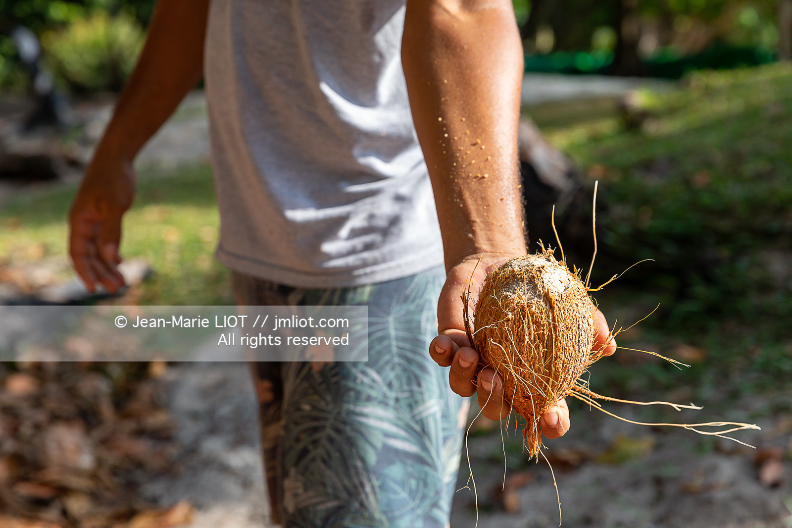 CROISIERE AUX ILES SEYCHELLES