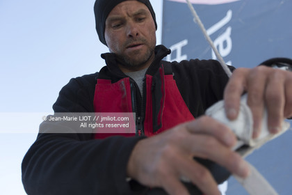 SAILING - ROUTE DU RHUM 2014 - MULTI 50 - FENETREA CARDINAL