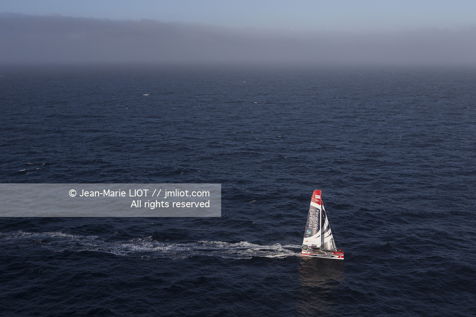 ROUTE DU RHUM 2014 - MULTI 50 FENETREA CARDINAL - ERWAN LE ROUX