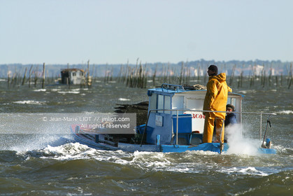 CHALANDS OSTREICOLES