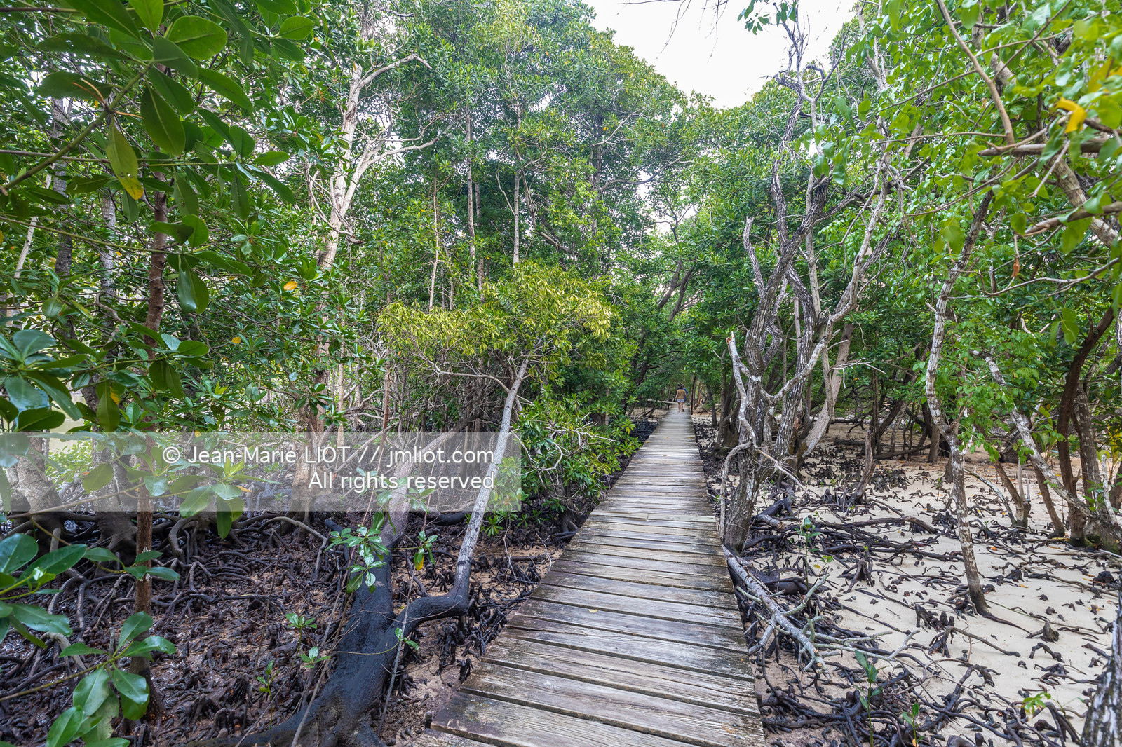 CROISIERE AUX ILES SEYCHELLES