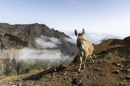 CAP VERT - SANTO ANTAO