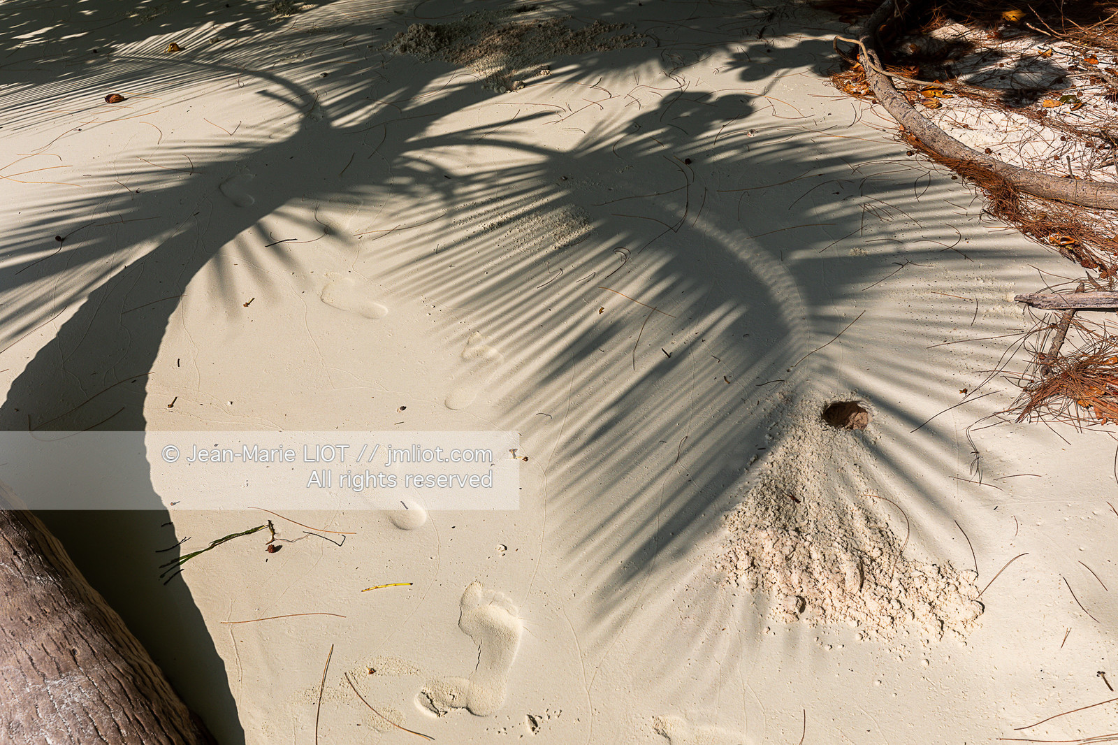 CROISIERE AUX ILES SEYCHELLES