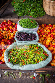 SALVADOR DE BAHIA-FOIRE DE SAO JOAQUIM