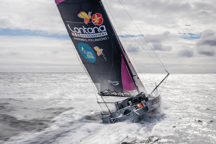 LOUIS DUC 2022 - ROUTE DU RHUM