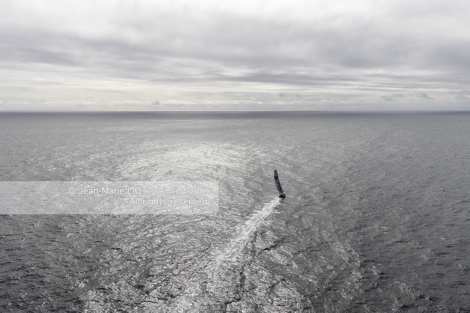 LOUIS DUC 2022 - ROUTE DU RHUM