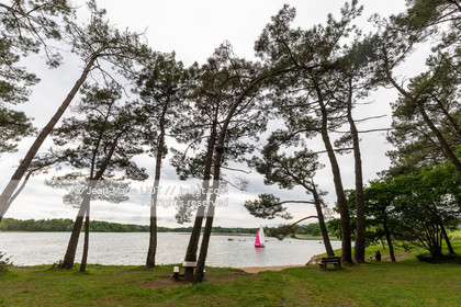 GOLFE DU MORBIHAN EN GAZELLE