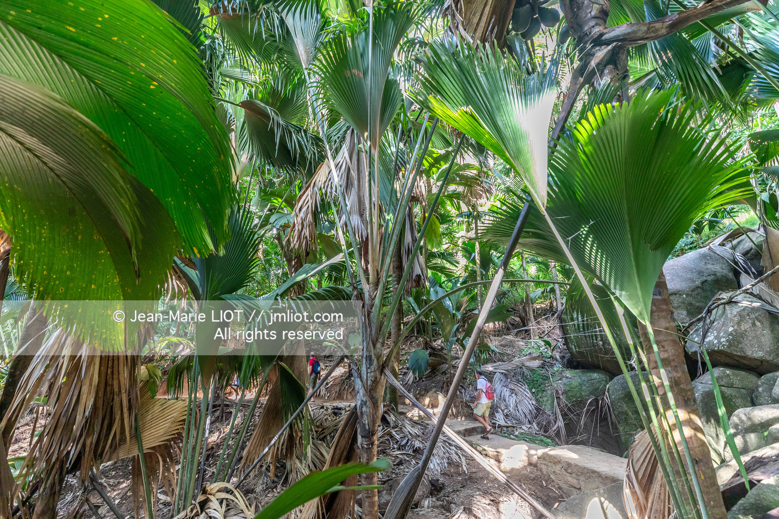 CROISIERE AUX ILES SEYCHELLES