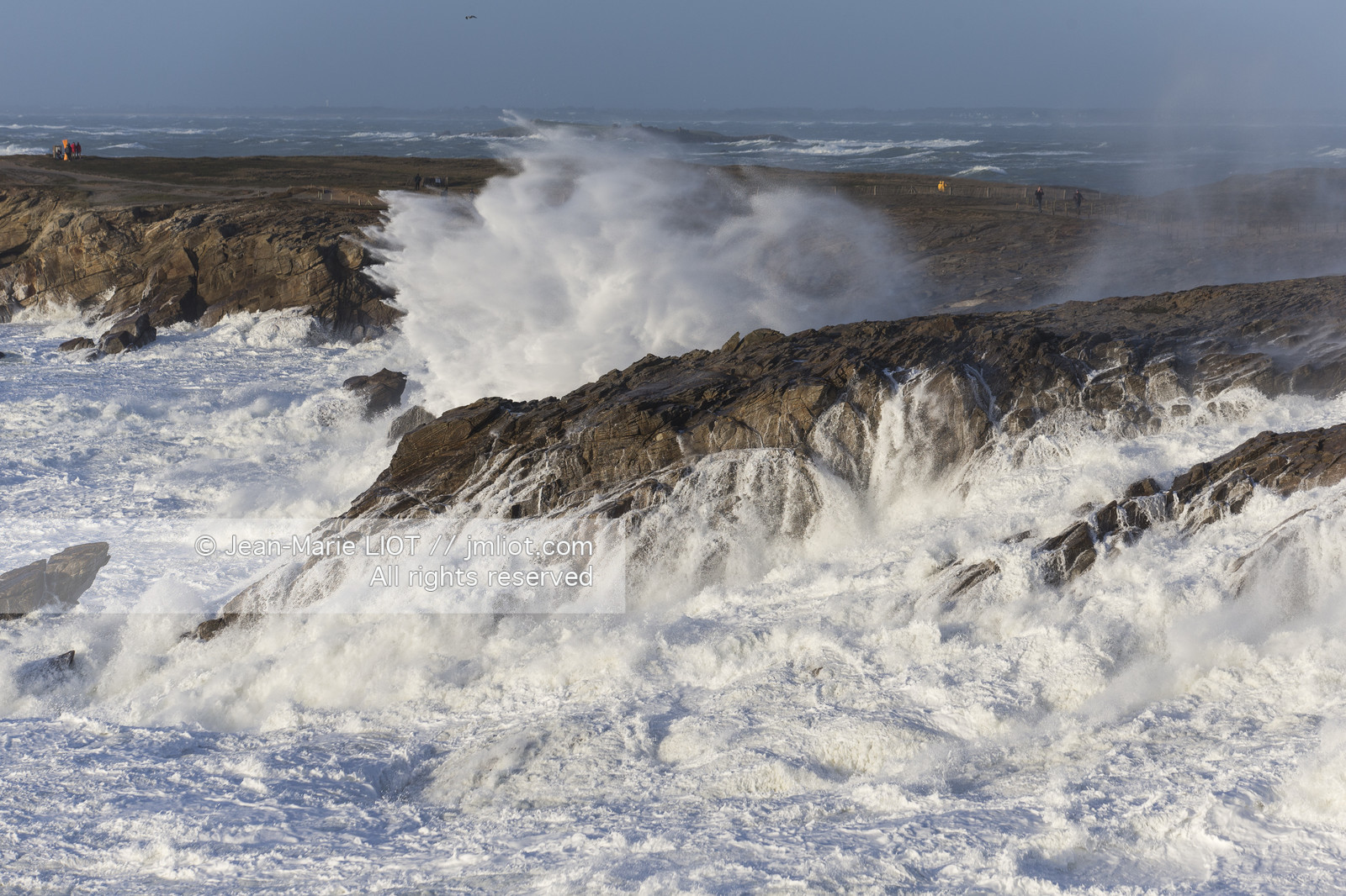 TEMPETE JANVIER 2014