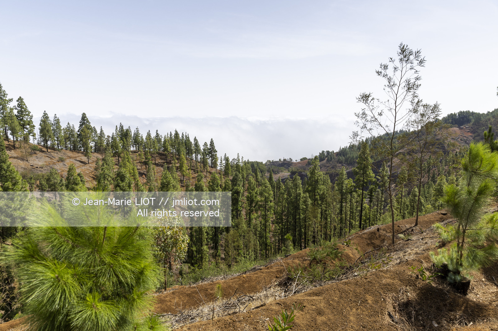 CAP VERT - SANTO ANTAO