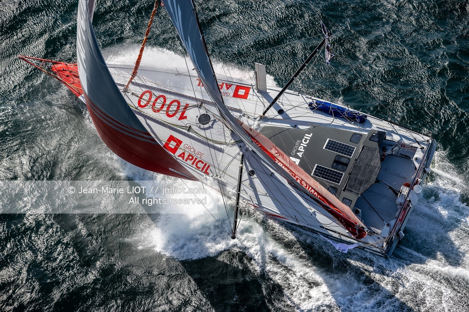 DAMIEN SEGUIN 2020 - IMOCA GROUPE APICIL