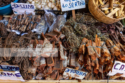 SALVADOR DE BAHIA-FOIRE DE SAO JOAQUIM