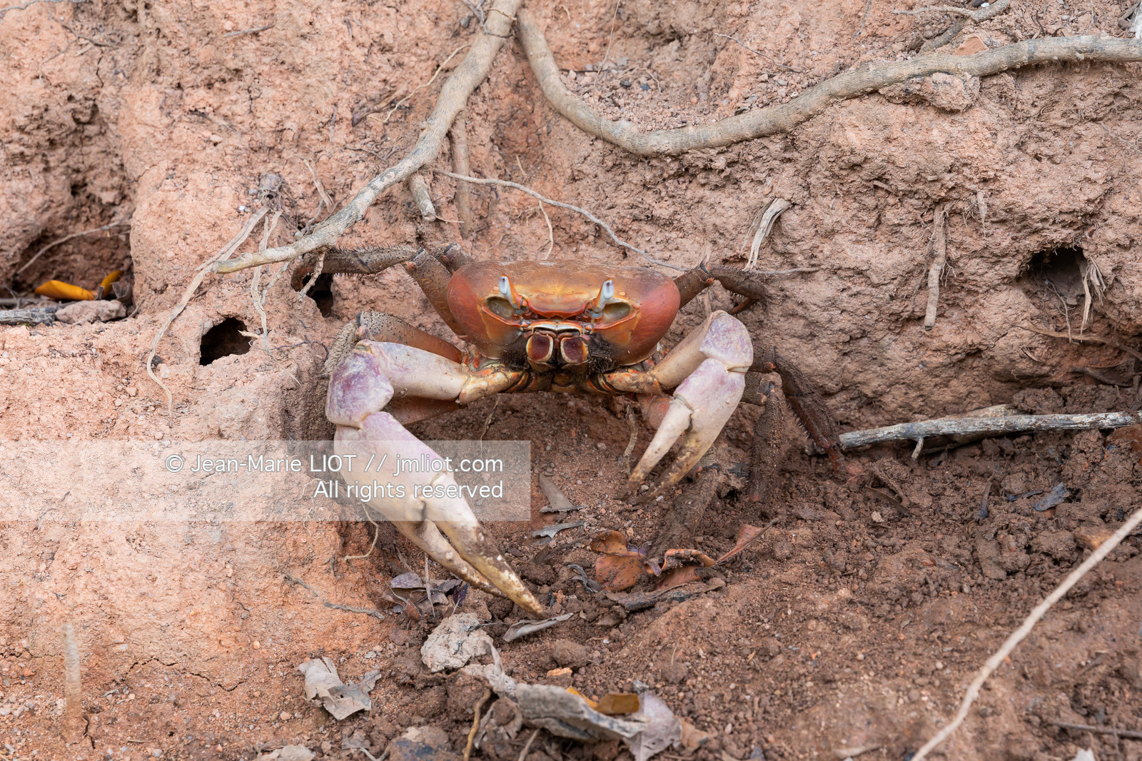 CROISIERE AUX ILES SEYCHELLES