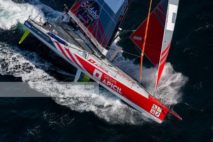 DAMIEN SEGUIN 2020 - IMOCA GROUPE APICIL